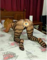 Mersin Ucuz Escort Hakkında Detaylı Bilgi
